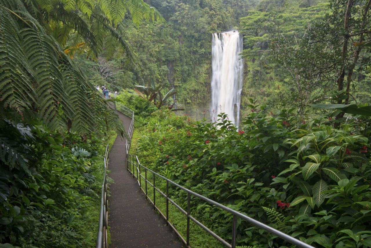 Akaka falls state park