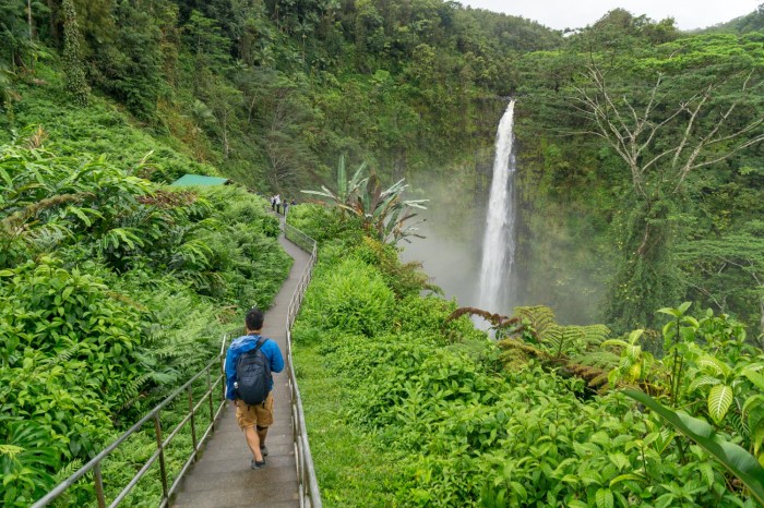 Akaka waipio hikes fontica